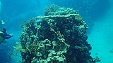 A (114)